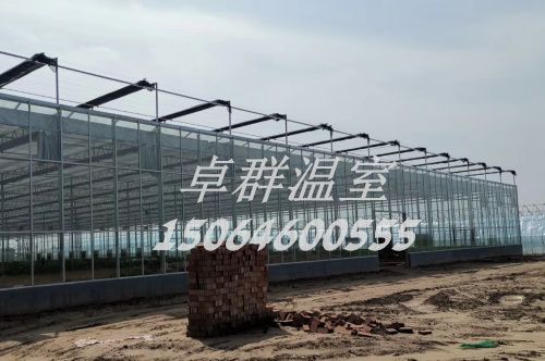 河南省信陽市紋絡(luò)玻璃溫室